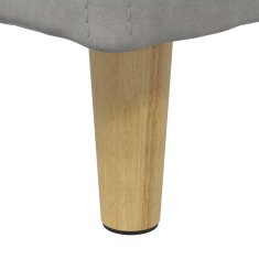 Vidaxl Ottoman s shranjevanjem Svetlo siva 60 x 60 x 45 cm Žamet