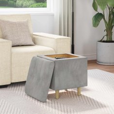 Vidaxl Ottoman s shranjevanjem Svetlo siva 40 x 40 x 45 cm Žamet