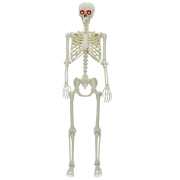 Vidaxl Halloween skelet Bela 155 x 38.5 cm Plastika