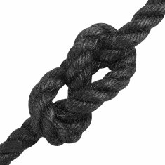 Vidaxl Vrv iz jute 100 mm 250 m Črna 100% Tossa jute