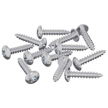Vidaxl Leseni vijaki 12 szt. srebrna M3,5 x 20 mm Jeklo