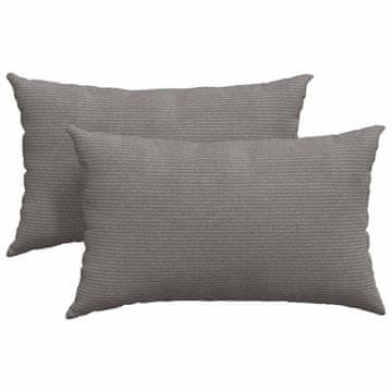 Vidaxl Blazine za kavč 2 szt. Svetlo siva 50 x 30 cm Žametna tkanina