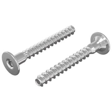 Vidaxl Potrdilni vijaki 2 szt. srebrna Ø5 x 40 mm Kovina