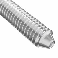 Vidaxl Pohištveni vijaki 2 szt. srebrna M6 x 120 mm Jeklo