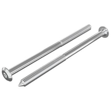Vidaxl Pohištveni vijaki 2 szt. srebrna M6 x 100 mm Jeklo