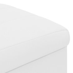 Vidaxl Ottoman s shranjevanjem Bela 40 x 40 x 45 cm Umetna koža