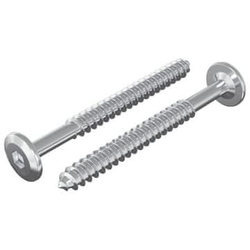 Vidaxl Leseni vijaki 2 szt. srebrna M6 x 70 mm Jeklo