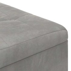 Vidaxl Ottoman s shranjevanjem Svetlo siva 60 x 60 x 45 cm Žamet
