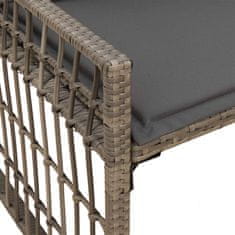 Vidaxl Zunanja klop 2 -Seater 116 x 55 x 82 cm Jeklo in poli ratan