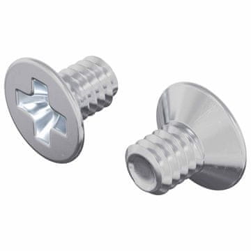 Vidaxl Vijaki s countersunk glavico 2 szt. srebrna M4 x 6 mm Jeklo