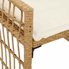 Vidaxl Zunanja klop 2 -Seater 116 x 55 x 82 cm Jeklo in poli ratan