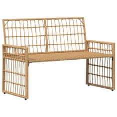 Vidaxl Zunanja klop 2 -Seater 116 x 55 x 82 cm Jeklo in poli ratan