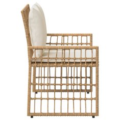Vidaxl Zunanja klop 2 -Seater 116 x 55 x 82 cm Jeklo in poli ratan