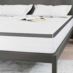 Vidaxl Vzmetnica 2 kos Srednje mehko 80 x 200 cm Bela in siva
