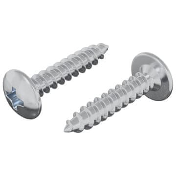 Vidaxl Žebelj s samočrtnim navojem 2 szt. Cinkano 4 x 20 mm Jeklo