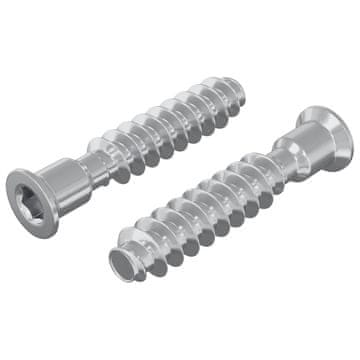 Vidaxl Šefasta vijak 2 szt. srebrna M7 x 40 mm Jeklo