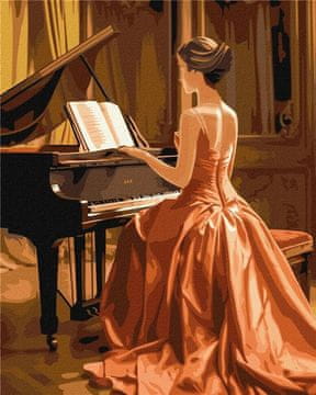 Rayher.	 Slikanje po številkah, Amazing pianist, 40x50 cm