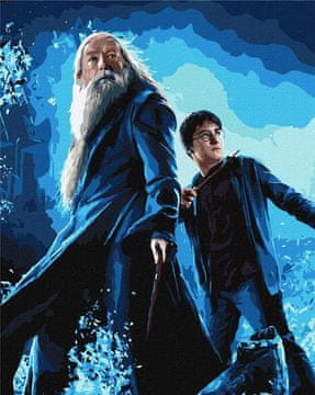 Rayher.	 Slikanje po številkah, Harry Potter: Harry & Dumbledore, s kov. barvami, 40x50cm