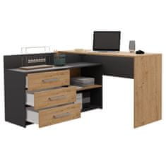 shumee DANY ANTRACIT ARTISAN pisalna miza DANY