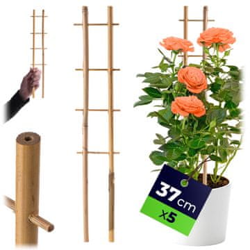 KADAX 5x bambusova opora za lestev za rože in rastline, višina 37 cm, dvojna