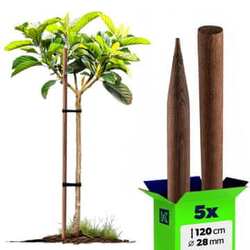 KADAX Leseni impregnirani kolci s konico, 120 cm, premer 28 mm, 5 kosov