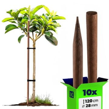 KADAX Leseni impulzijski koli, impregnirani, dolžine 120 cm, premera 28 mm, 10 kosov