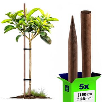 KADAX Leseni impregnirani koli, naostreni, 150 cm, Ø 28 mm, 5 kosov