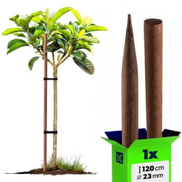 KADAX Impregniran lesen kol 120 cm za podporo rastlin premera 23 mm