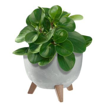 KADAX Cvetlični lonec 24 cm s pokrovom in pluto nogami, siva