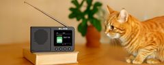 Blow Prenosni aku. 2000mAh LCD kuhinjski radio FM DAB+ RK3 bluetooth črn