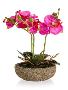 HOME DECOR Fuksija v betonskem loncu 21,5 x 14 cm