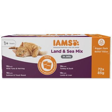 IAMS Cat Adult Delights kapsula Land&Sea v želeju 72x85g