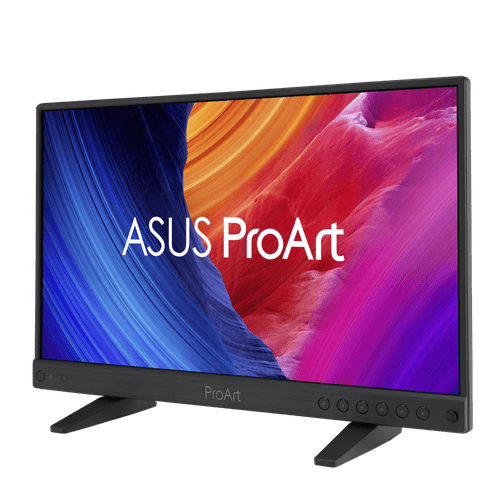 Profesionalni prenosni monitor
