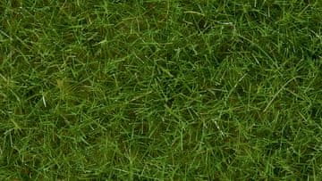 Statična trava Wild Light Green 6 mm