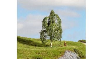 Noch Srebrna breza