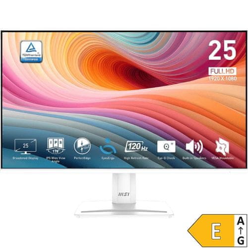 MSI PRO MP251W E2