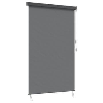 Vidaxl Rolo Svetlo siva 60 x 250 cm Tkanina in aluminij