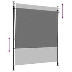 Vidaxl Zunanja Rolfa Svetlo siva 100 x 270 cm