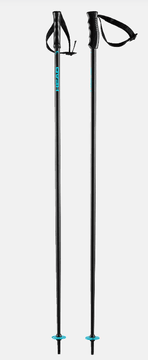 Head Multi Performance Pole – smučarske palice