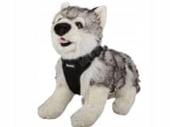 shumee PASJI OPORCI BREZ TLAKA ČRNE TEŽAVE (100) GAB_A