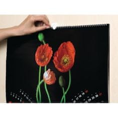 shumee TESA samolepilni kaveljčki za slike, fotografije, 2 kosa x 5 + trak Washix5
