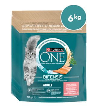 Purina ONE briketi za odrasle mačke z okusom lososa, 8x750g