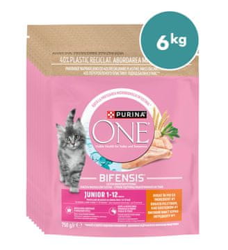 Purina ONE briketi za mlade mačke z okusom piščanca, 8x750g