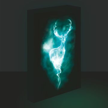 Epee LED slika Harry Potter – Patronus, 30 x 40 cm