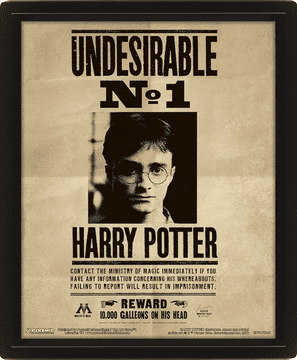 Epee 3D slika Harry Potter – Sirius v okvirju 23 x 28 cm