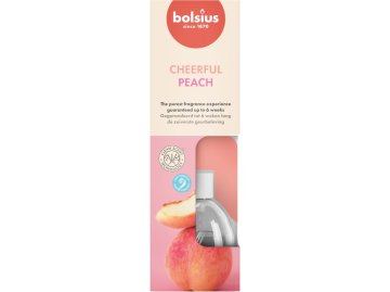 Osvežilnik zraka TRUE SCENTS BROSKEV s palčkami 60ml