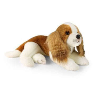 Plišasti pes King Charles Spaniel 40 cm ECO-FRIENDLY