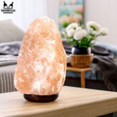 shumee Solna svetilka 9-11 kg s himalajsko soljo, ionizator zraka