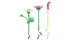 LEGO Botanicals Kozmeje 11514