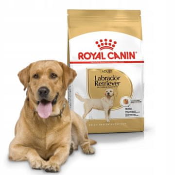 shumee Royal Canin BHN Labrador Adult suha hrana za pse 12 kg